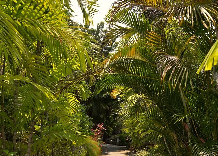 Resort Marcosas